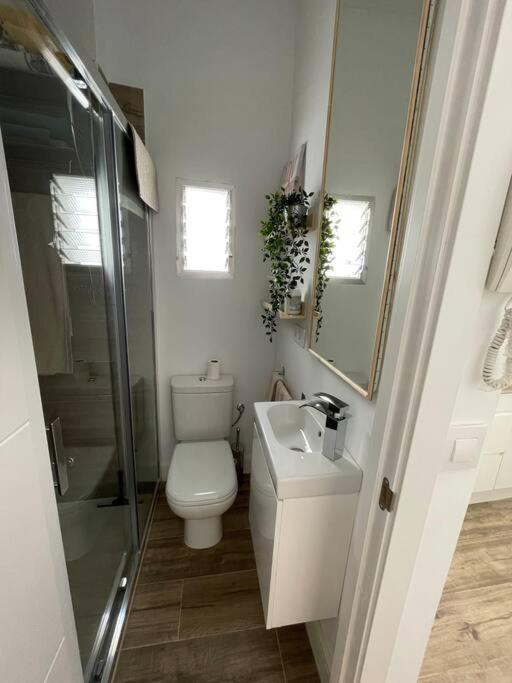 Atico Duplex Con Terraza En Pleno Centro De Jerez Διαμέρισμα Χέρεζ Εξωτερικό φωτογραφία