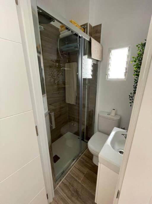 Atico Duplex Con Terraza En Pleno Centro De Jerez Διαμέρισμα Χέρεζ Εξωτερικό φωτογραφία